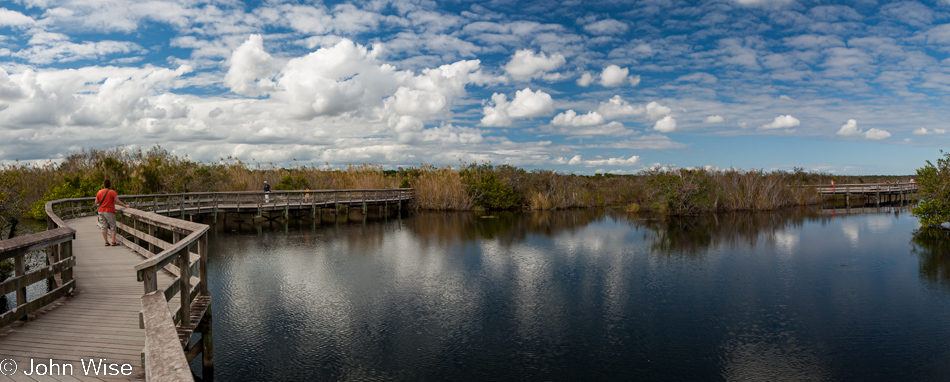 Anhinga Trail in the Everglades National Park, Florida