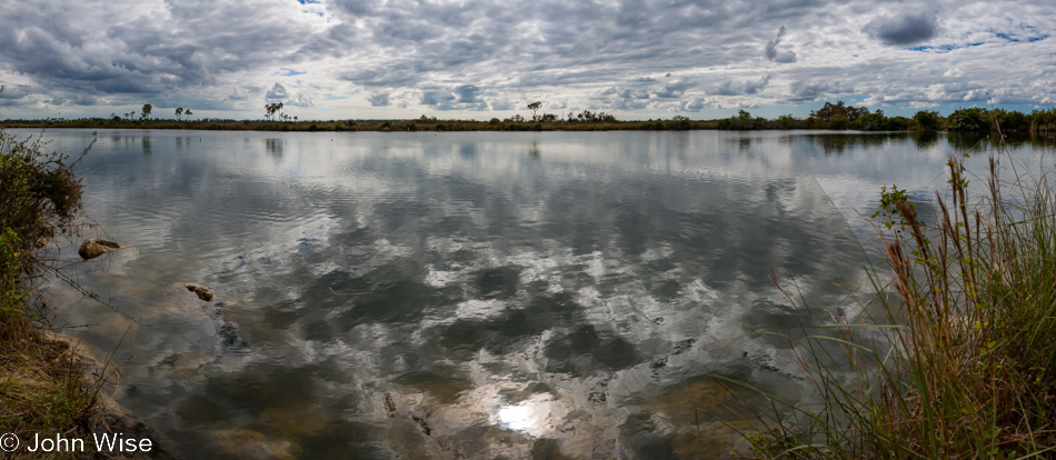 Sisal Pond in the Everglades National Park, Florida