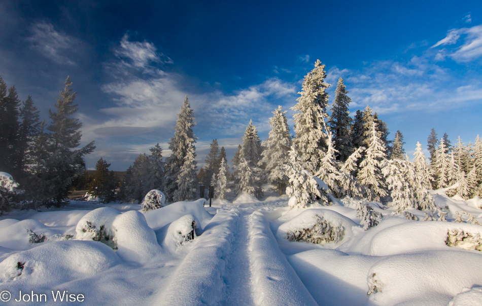 The boardwalk and trees covered in snow on the Back Basin, part of the Norris Geyser Basin in Yellowstone National Park January 2010