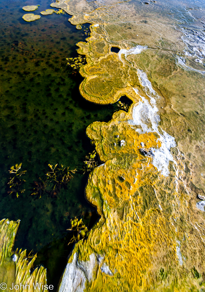 Bacteria mat on the Upper Geyser Basin in Yellowstone National Park January 2010