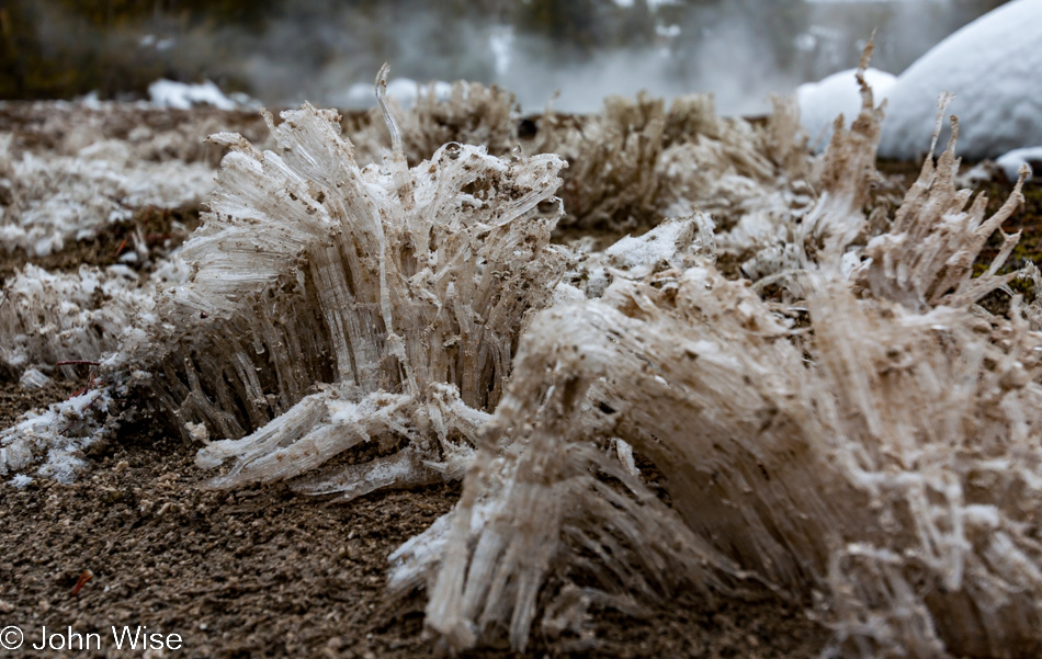 Hoar frost standing in the soil at an unnamed hot spring on the Upper Geyser Basin in Yellowstone National Park January 2010