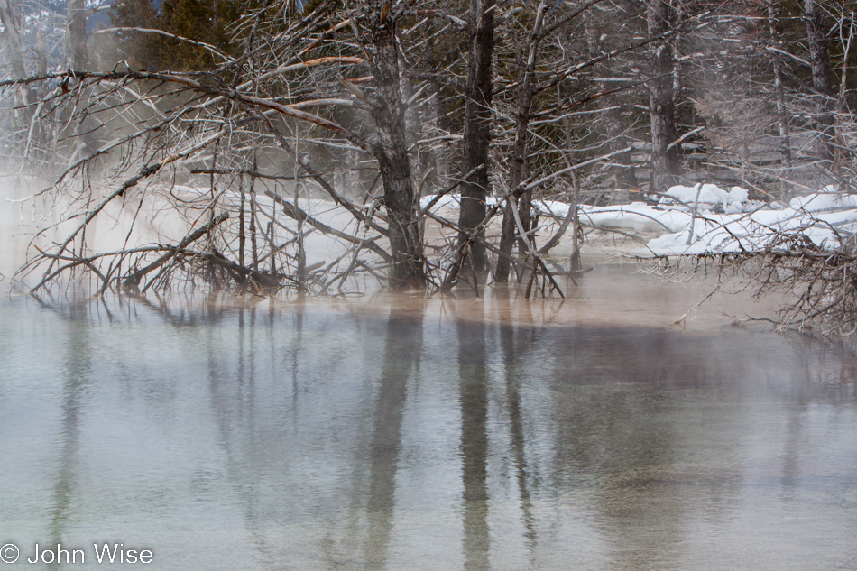 Dead trees mirrored in a hot spring on a wintery day at the Mammoth Hot Springs in Yellowstone National Park January 2010