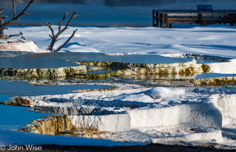 Detail of travertine terrace on the Upper Terrace at Mammoth Hot Springs in Yellowstone National Park January 2010