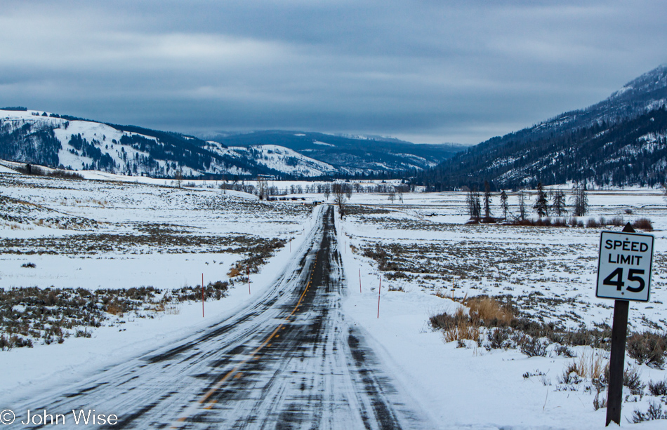The road into Lamar Valley on an early gray morning - Yellowstone National Park January 2010
