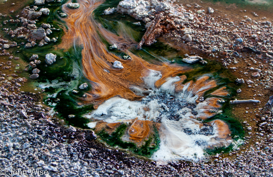 Bacteria mat on the Porcelain Basin, part of Norris Geyser Basin in Yellowstone National Park January 2010