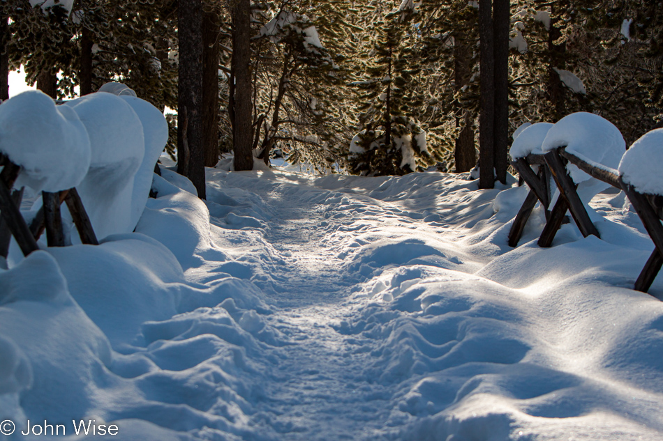 Trail leading from Porcelain Basin to Back Basin, part of the Norris Geyser Basin in Yellowstone National Park January 2010