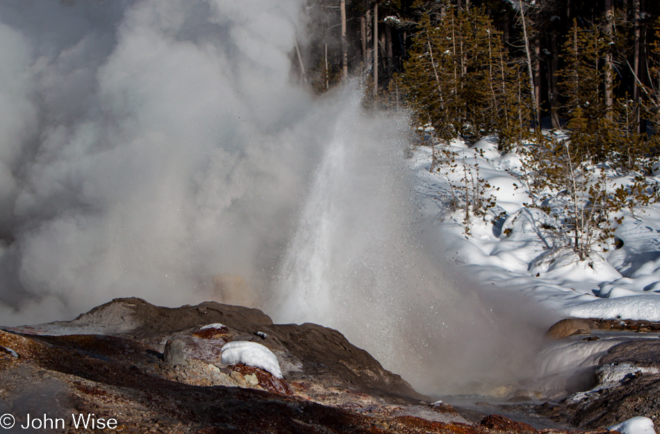 Steam and water surging from Steamboat Geyser on the Back Basin of Norris Geyser Basin in Yellowstone National Park January 2010