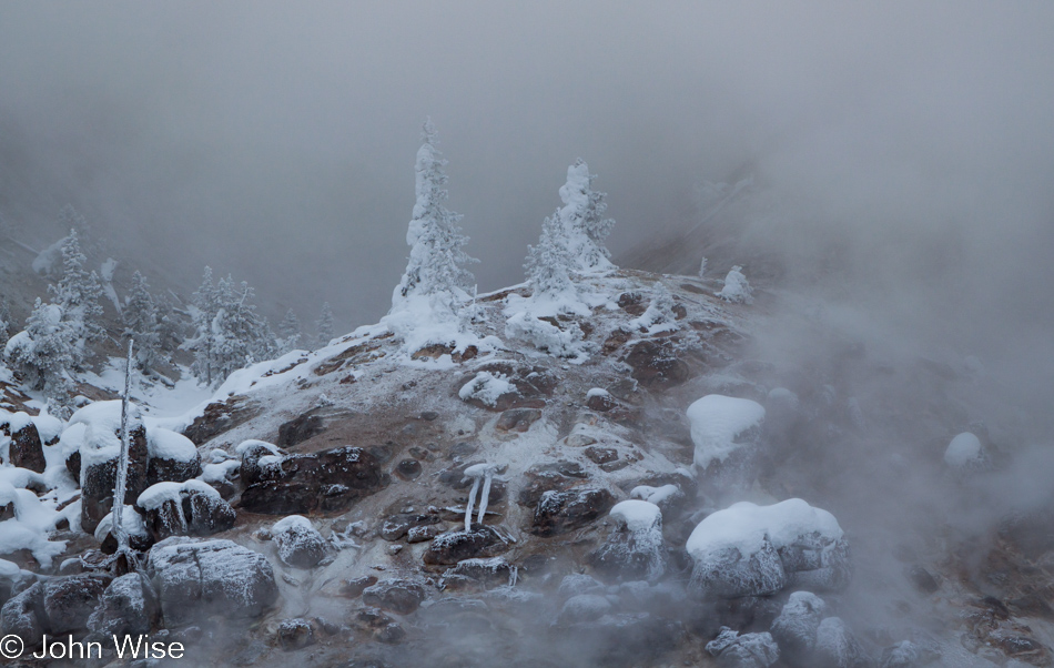 Snow encrusted trees wrapped in steam on Roaring Mountain in Yellowstone National Park January 2010