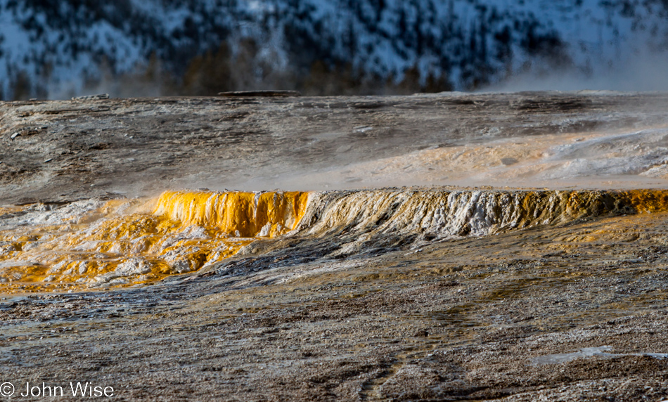 A bright orange ledge holding back hot spring waters on the Upper Geyser Basin in Yellowstone National Park January 2010