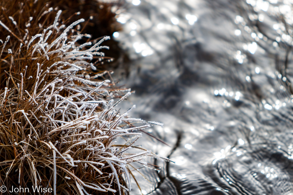 Ghost grasses are created when rising steam freezes on the grass it floats over - Black Sand Basin in Yellowstone National Park January 2010