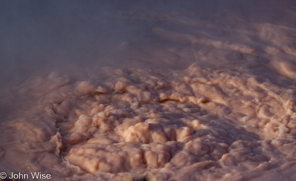 Boiling muddy red waters at Fountain Paint Pots in Yellowstone National Park January 2010