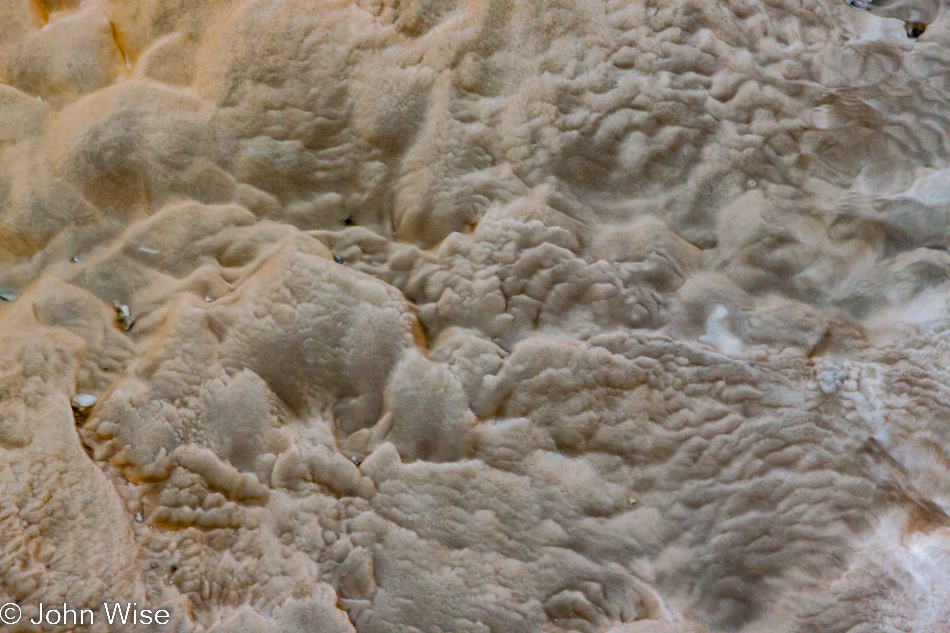 Detail of bacteria mat on the Upper Geyser Basin in Yellowstone National Park January 2010