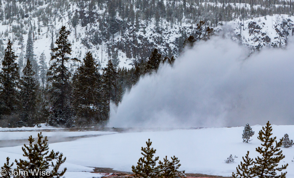 Daisy Geyser erupting in the distance on the Upper Geyser Basin in Yellowstone National Park January 2010