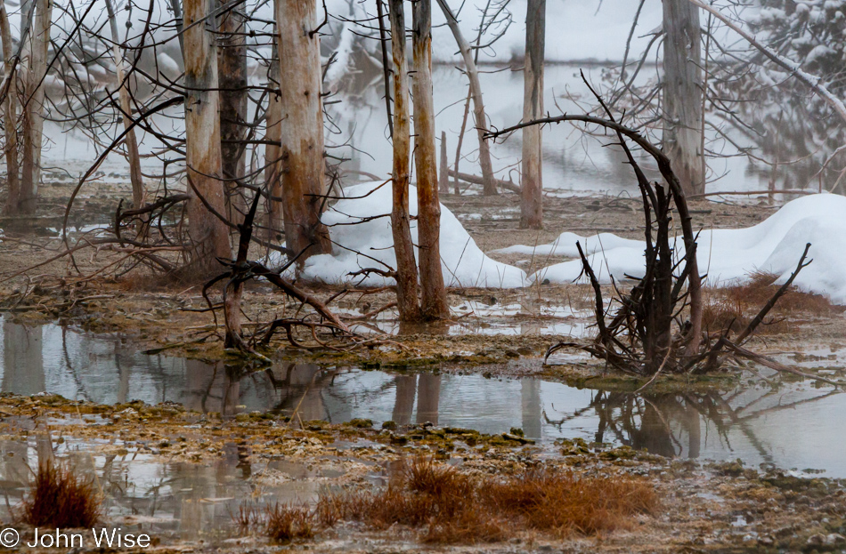 Trees, snow, water, and steam next to the boardwalk on the Upper Geyser Basin in Yellowstone National Park January 2010