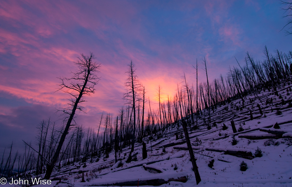 Sunrise in the Lamar Valley - Yellowstone National Park January 2010