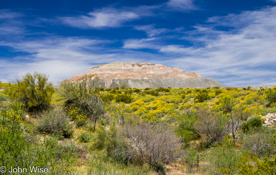 Wildflowers in front of a mine in Kelvin, Arizona April 2010