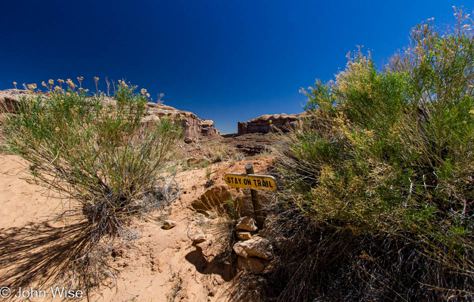 Near the trailhead leading into Horseshoe Canyon at Canyonlands National Park in Utah