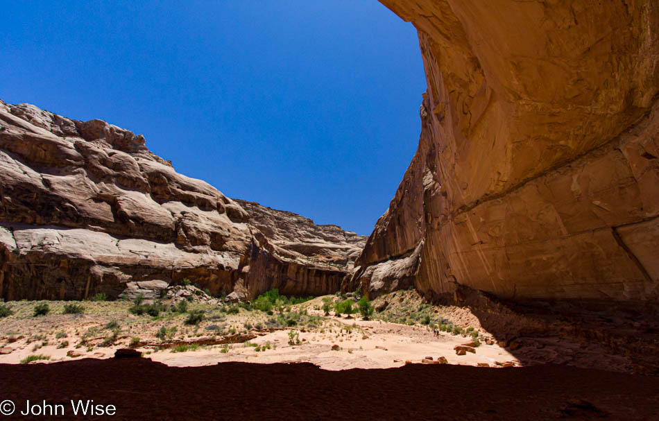 Under a cliff overhang in Horseshoe Canyon at Canyonlands National Park in Utah