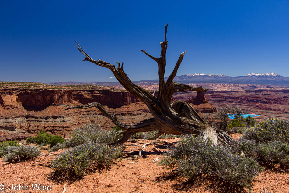 Dead Horse Point State Park near Moab, Utah