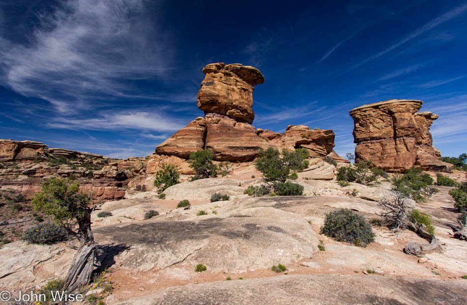 The trailhead of the Confluence Overlook Trail in Canyonlands National Park in Utah