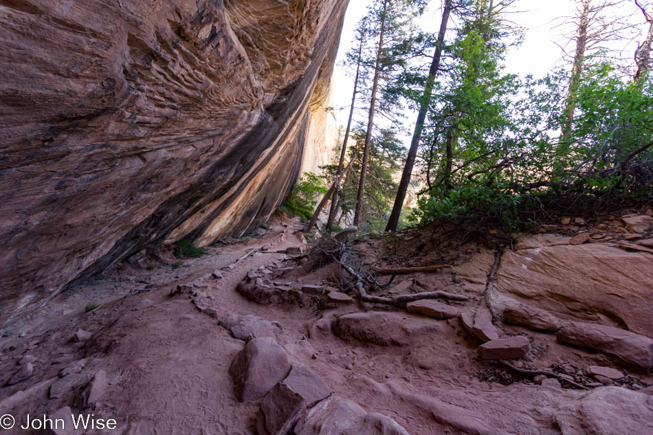 The trail to Sipapu natural bridge in Natural Bridges National Monument in Utah