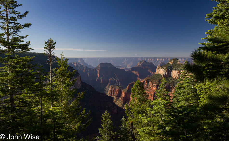 Widforss Trail at the North Rim of the Grand Canyon National Park in Arizona
