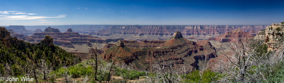 Widforss Trail at the North Rim of the Grand Canyon National Park in Arizona