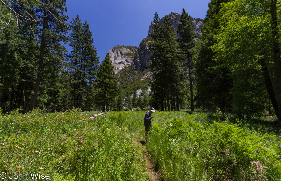 Caroline Wise looking to photograph some random detail on Zumwalt Meadow trail in Kings Canyon National Park in California