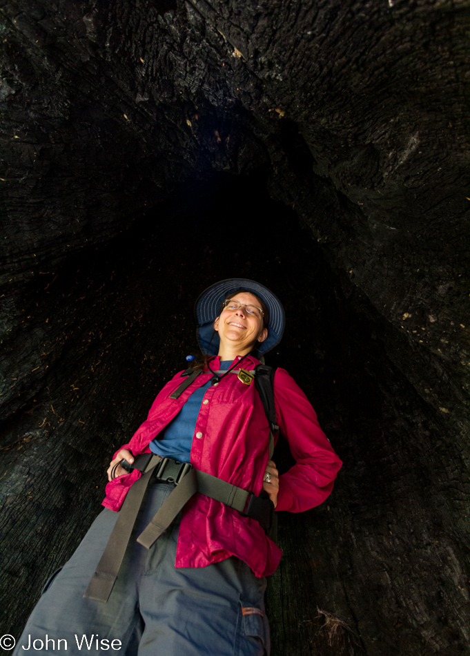 Standing in the burned-out center of a very live Sequoia tree in Kings Canyon National Park, California