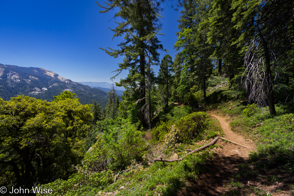 On the Sugarbowl trail in Redwood Canyon - part of Kings Canyon National Park in California