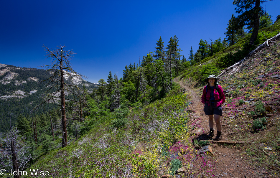 Caroline Wise on the Sugarbowl loop trail in Kings Canyon National Park, California