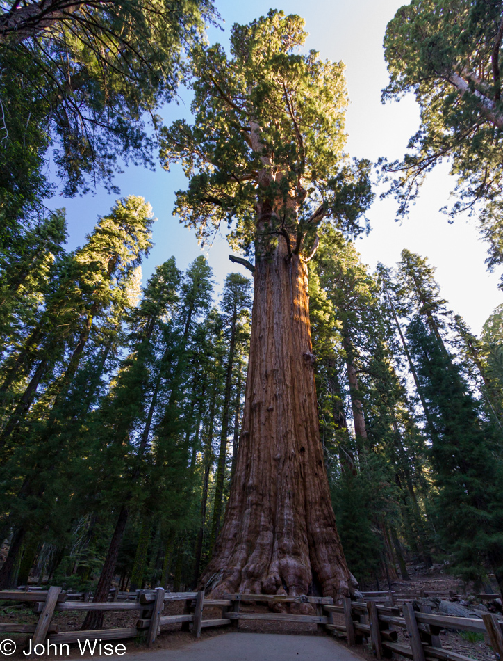 General Sherman in Sequoia National Park, California