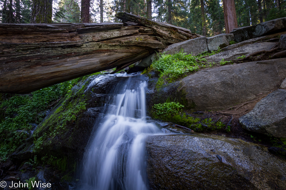Small waterfall on the Congress Trail in Sequoia National Park, California