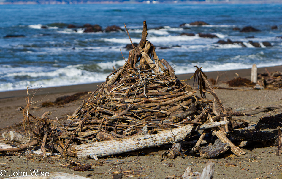 On the beach near San Simeon, California