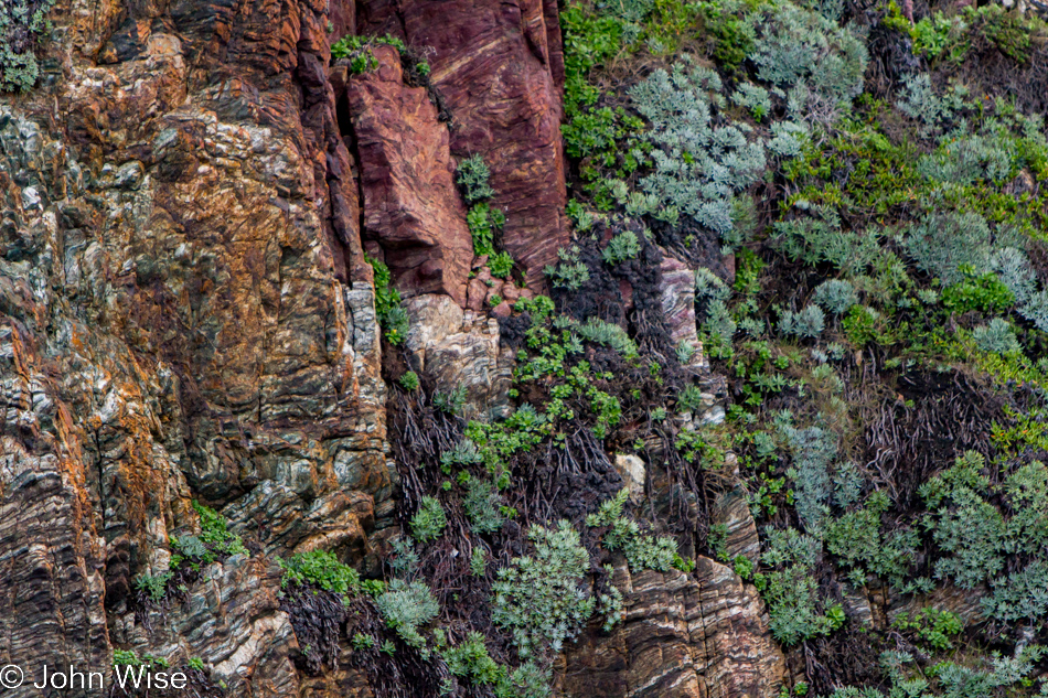 Rock side in Pacific Valley near Big Sur, California