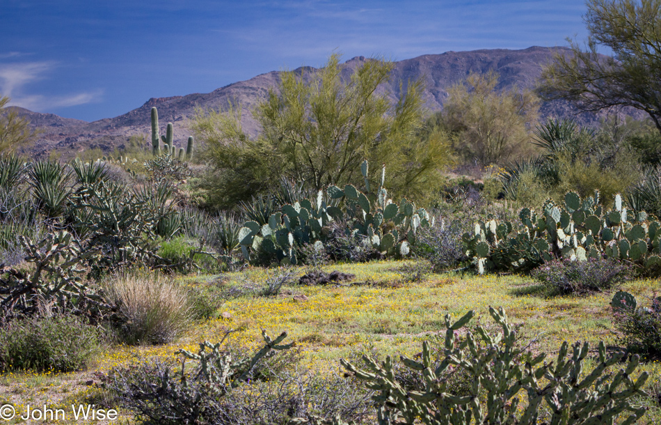 Near Fountain Hills, Arizona