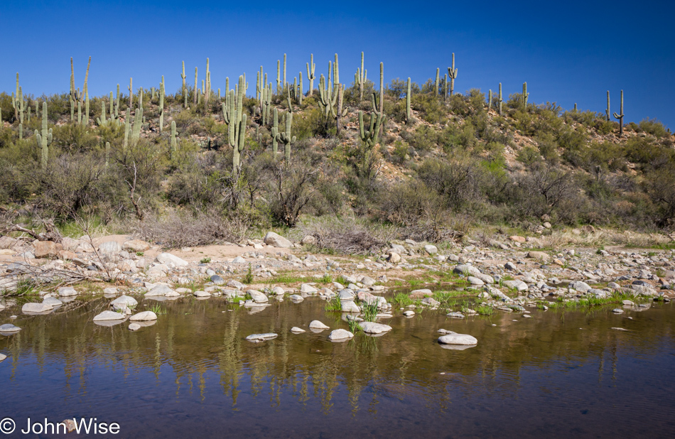 Sycamore Creek near Fort McDowell, Arizona on Arizona Route 87