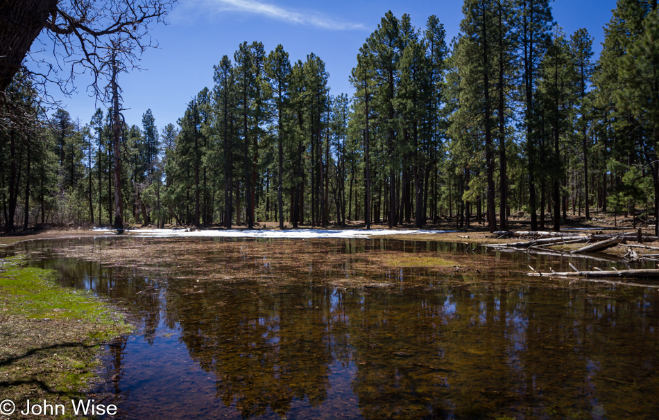 Somewhere near Payson, Arizona