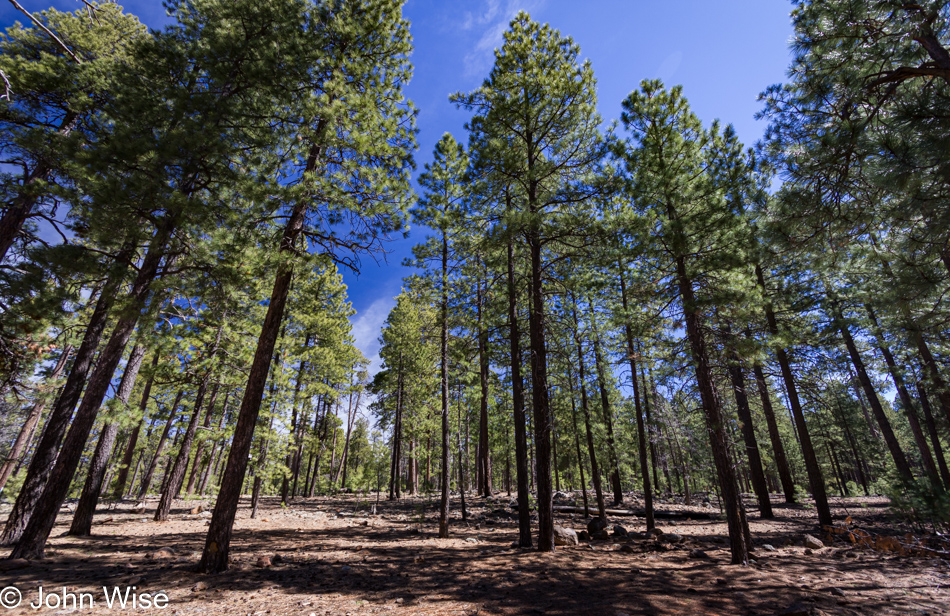 Somewhere near Payson, Arizona