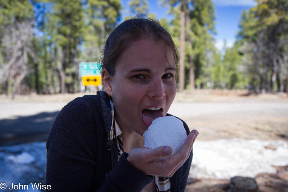 Jessica Aldridge licking snow on the Mogollon Rim in Arizona