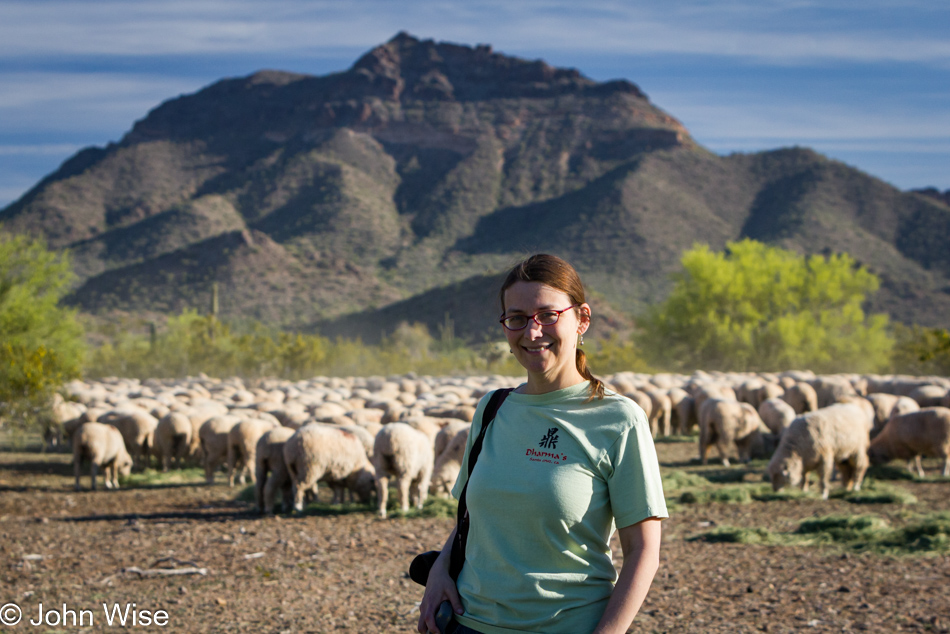 Caroline Wise out in the far east valley of Mesa, Arizona following a sheep drive as a heard of 2000 sheep are taken north for the summer