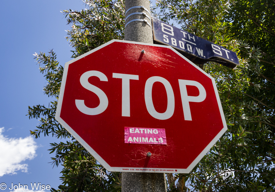 A stop sign with a sticker attached below the word stop, it reads, "Eating Animals"