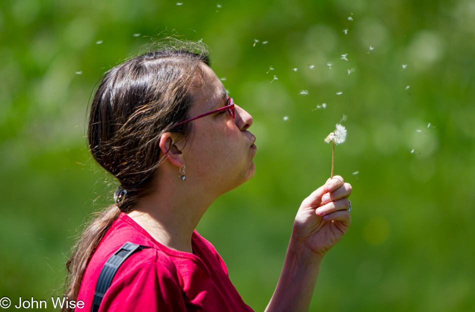 Caroline Wise blowing a dandelion, making a wish in the San Juan Mountains of Colorado