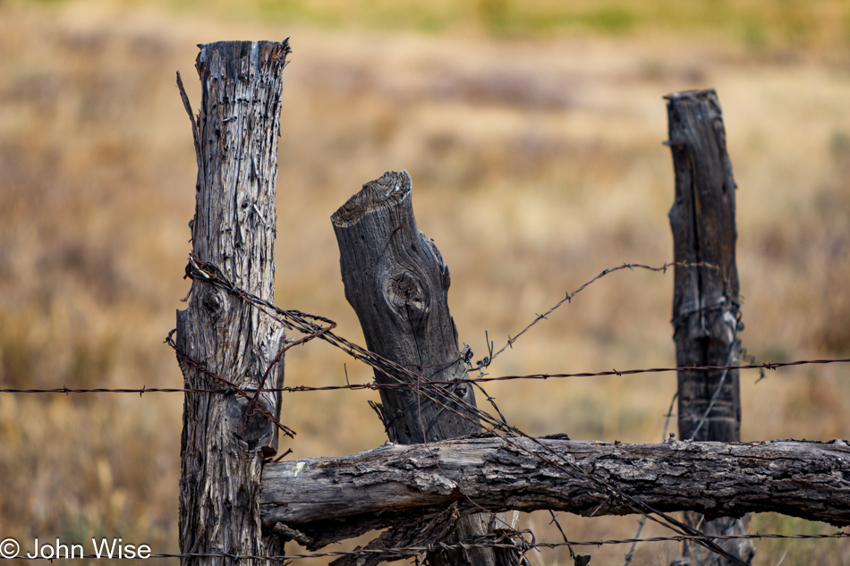 Barbed wire fence in Colorado