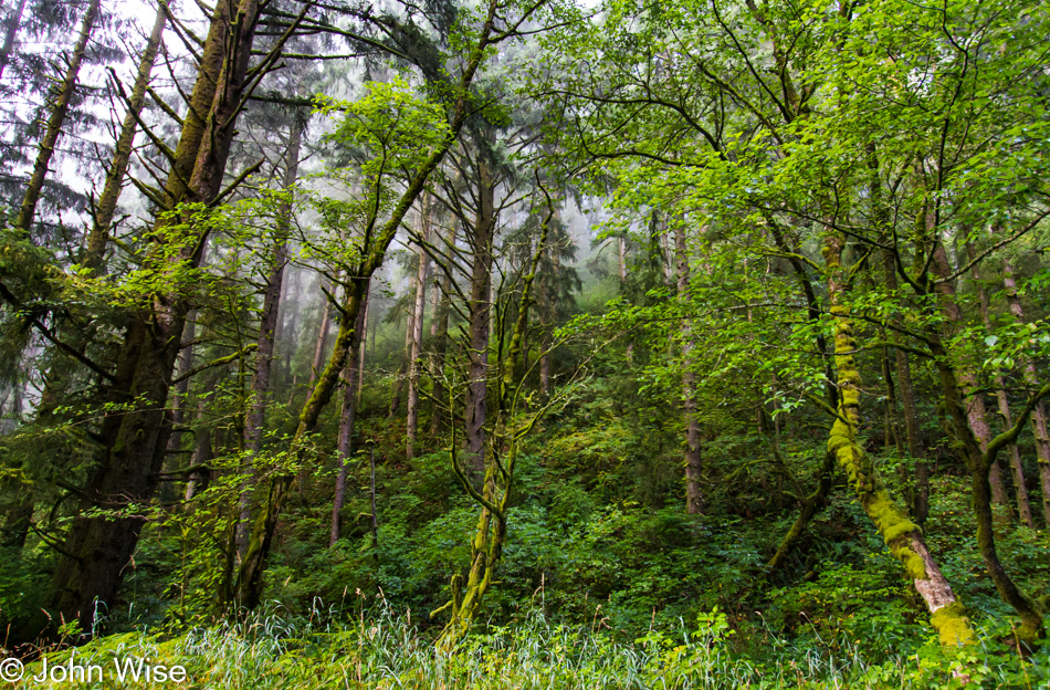 Near Pacific City, Oregon