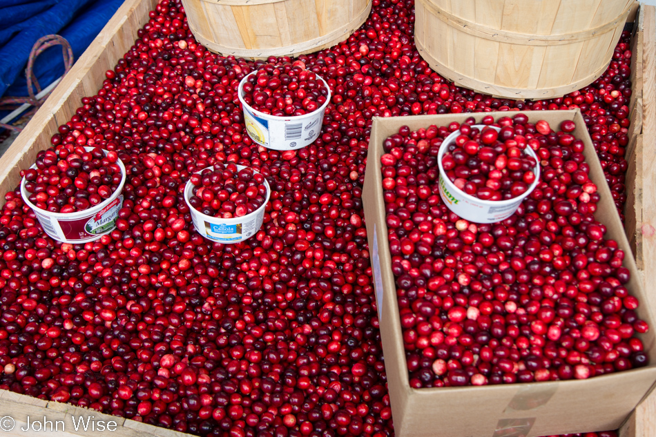 Cranberries for sale at Jean-Talon Market in Montreal, Canada
