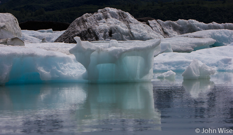 The icebergs on Alsek Lake take on strange and sometimes familiar forms.
