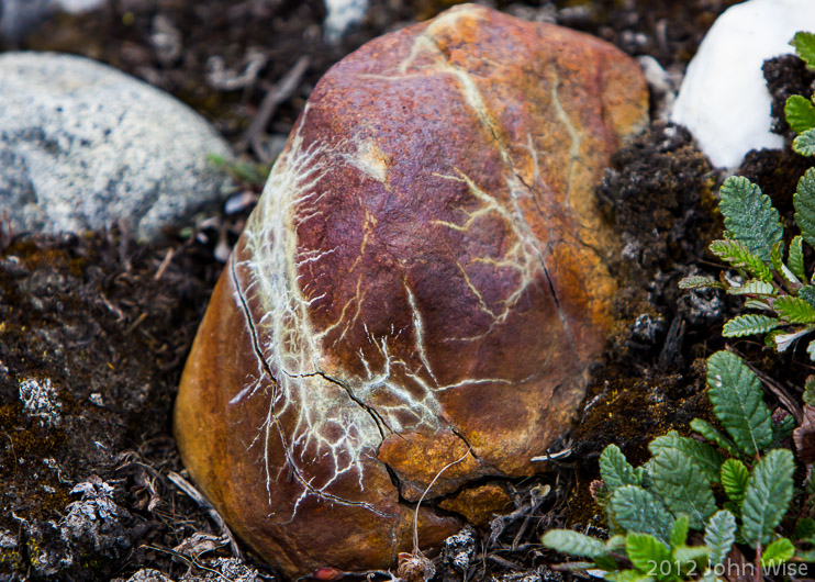 Unknown type of rock looking like it was struck by lightning in Kluane National Park Yukon, Canada