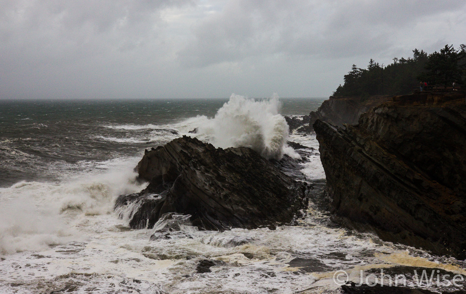 hing on the rocks at Shore Acres State Park in Oregon