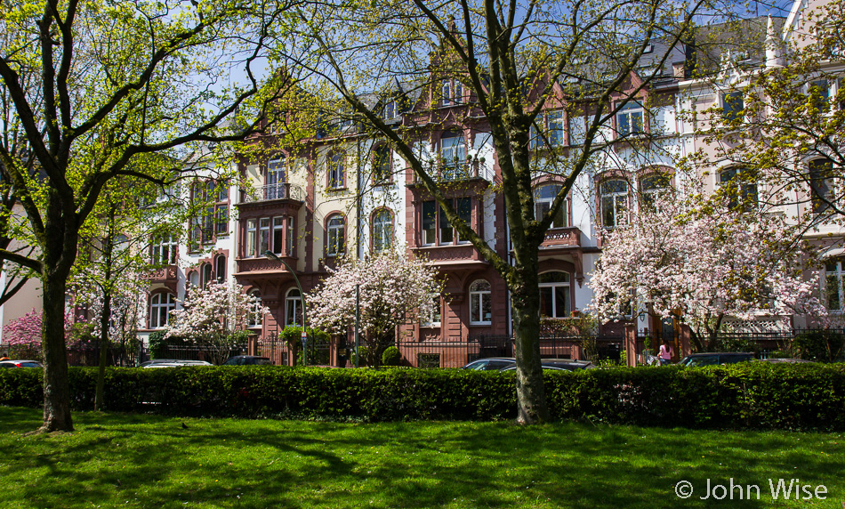 Walking towards Holzhausen Park in Frankfurt, Germany